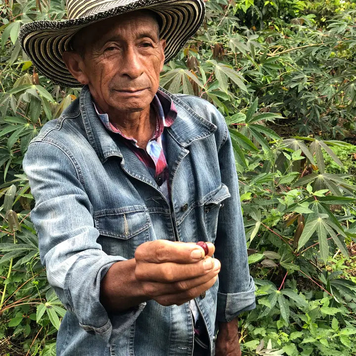 The Coffee Making Process