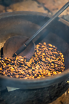 Bali Blue - Medium/Dark Roast